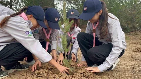 Kastamonu'da Fidan Dikimi Etkinliği