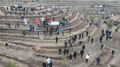 Çorum'da Fidan Dikimi Yapıldı