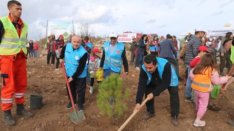 Yatağan'da Fidan Dikimi Etkinliği
