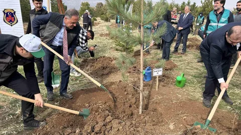Bingöl'de 25 Bin Fidan Dikildi