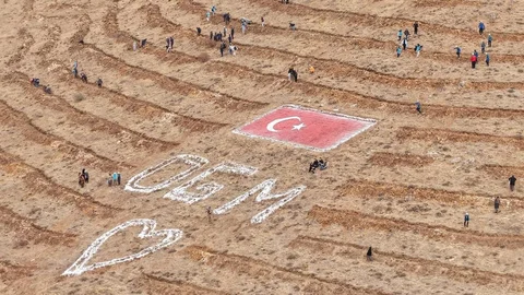 Kayseri'de 35 Bin Fidan Dikildi