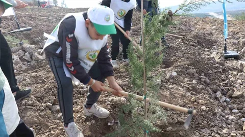 Denizli'de Fidan Dikimi Yapıldı