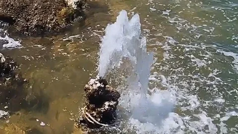 Van Gölü'nde Şaşırtan Su Fışkırması