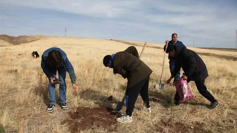 Ahlat'ta Fidan Dikimi Etkinliği