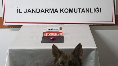 Gümüşhane'de Uyuşturucu Operasyonu