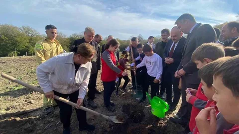 Sinop'ta Fidan Dikimi Etkinliği