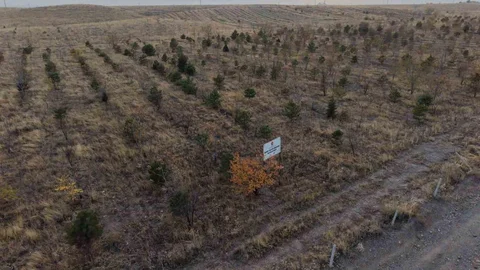 Iğdır'da Fidan Dikimi Yapıldı