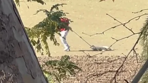 Edirne'de Köpek Toplama Tepkisi