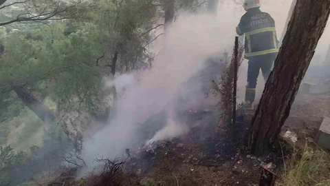 Dörtyol’da Orman Yangını Kontrol Altına Alındı