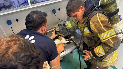 İzmir'de Kurtarma Operasyonu