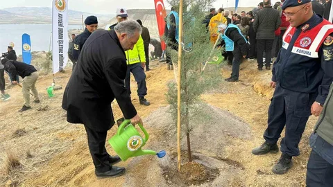 Ali Dağı'nda Fidan Dikimi