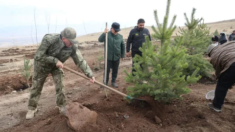 Erzurum'da Ağaç Dikimi Etkinliği