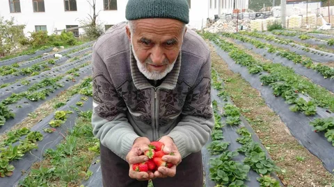 İbrahim Dede'nin Hayır Bahçesi