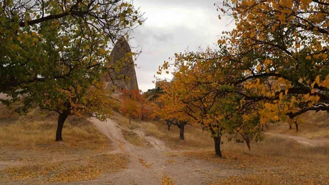 Kapadokya'da Sonbahar Güzellikleri