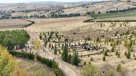 Elazığ'da Fidan Dikimi Etkinliği