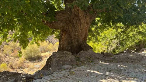 Doğadan İlham Alan Yarışma Niğde'de