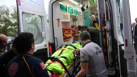 Kastamonu'da Ayı Saldırısı