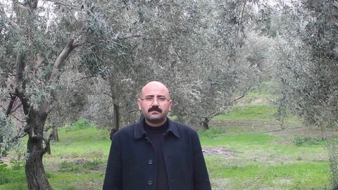 Mut'ta Zeytin Rekoltesi Beklentisi