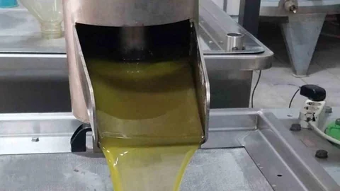 Mut'ta Zeytin Yağı Üretimi Sürüyor: 120 Bin Ton Hasat, Litre Fiyatı 350 TL'ye Fırladı
