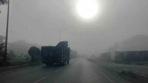 Aydın'da Yoğun Sis Etkili Oldu