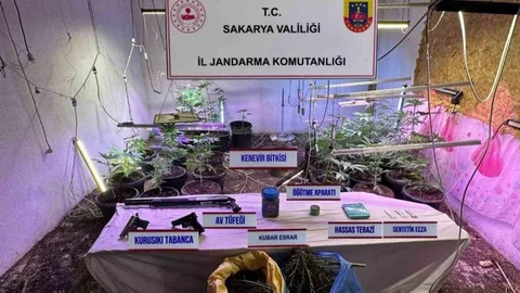 Sakarya'da Kenevir Yetiştiren Şahıs Tutuklandı