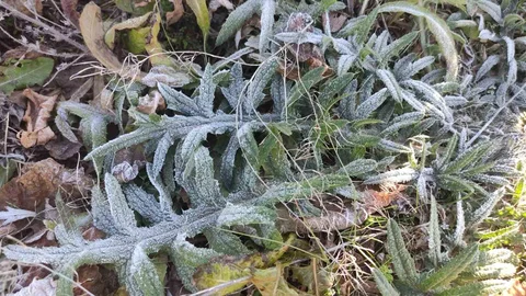 Ardahan Göle Türkiye'nin En Soğuk Yeri