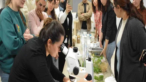 Balıkesir'de Bitki Doku Kültürü Kursu