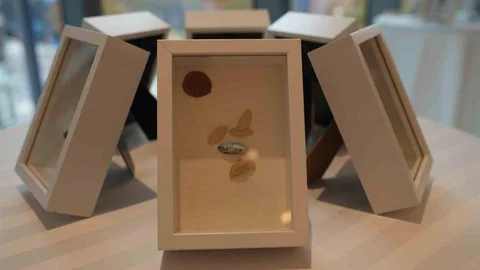 Türk Kahvesi Tanıtımı New York'ta Yapıldı