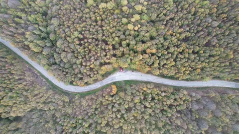 Yalova Ormanlarında Sonbahar Renkleri