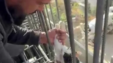 Kedi Beton Altında Mahsur Kaldı