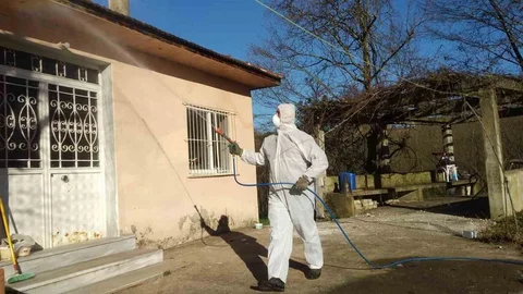 Düzce'de Kahverengi Kokarca Uyarısı