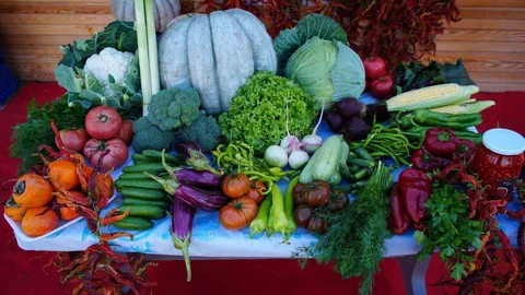 Edirne'de Ata Tohumu Satışı