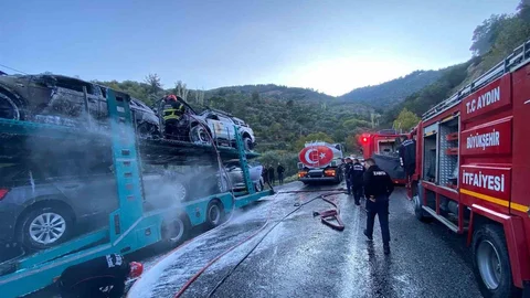 Bozdoğan'da Tır Yangını Meydana Geldi