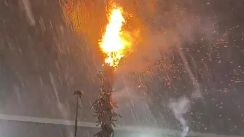 Adana'da Yıldırım Yangınına Neden Oldu