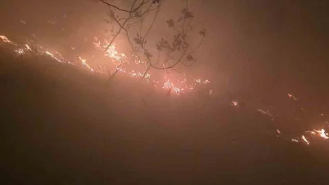 Hatay'da Orman Yangını Çıktı