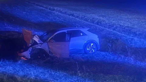 Muş'ta Otomobil İneğe Çarptı