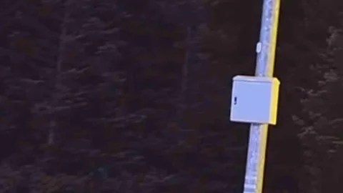 Uludağ'da Ayılar Çöp Aradı