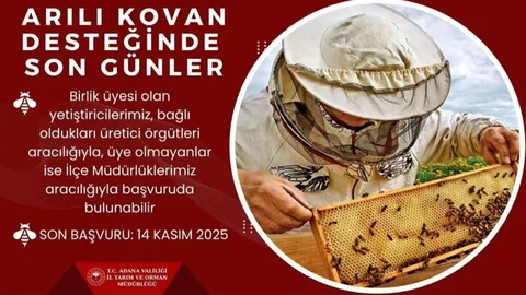 Adana'da Arılı Kovan Desteği İçin Son Gün