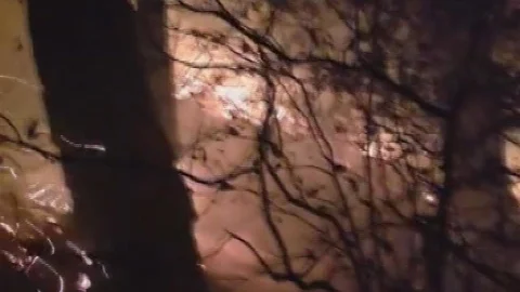 Hatay'da Orman Yangını Sürüyor