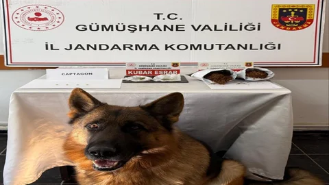 Gümüşhane’de Uyuşturucu Operasyonu