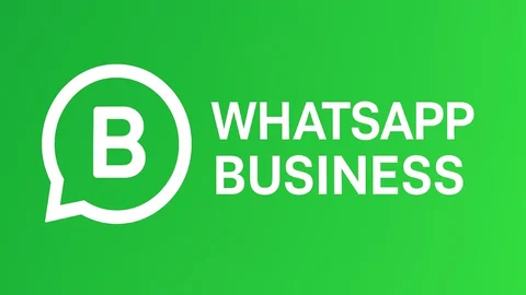 Whatsapp Busıness Donma Sorunu