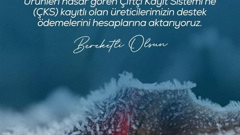 Zirai Don Desteği Açıklandı