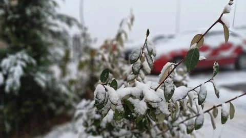 Kayseri'de Kar Yağışı Başladı