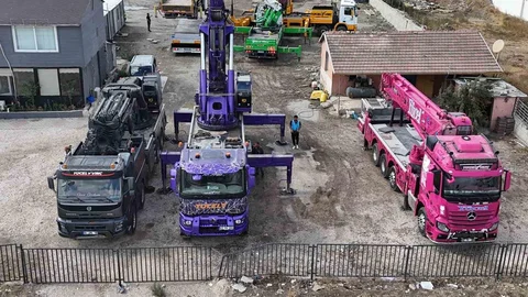 Hatay'da Renkli Vinçler Dikkat Çekiyor