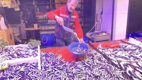 Hamsi Fiyatı 100 TL Oldu
