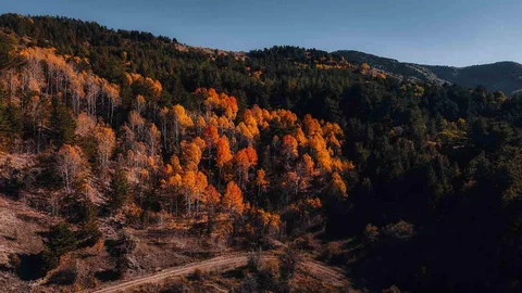 Karagöl Tabiat Parkı'nda Sonbahar Güzelliği