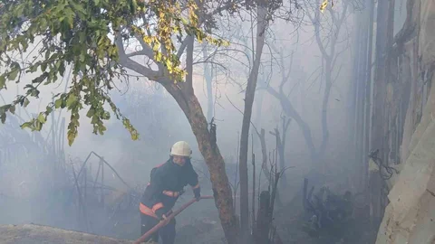 Bozyazı'da Yangın Oluştu