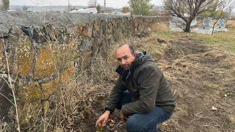 Kars'ta Fidan Dikimi Seferberliği