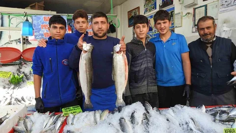 Karadeniz'de Balık Bolluğu