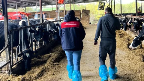 Pınarhisar'da Hayvan İşletmeleri İncelendi